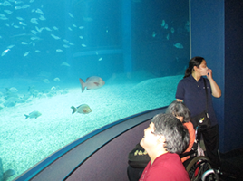 3階デイ遠足~海遊館~-1
