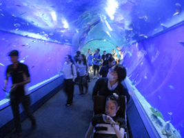 3階デイ遠足~海遊館~-2
