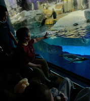 3階デイ遠足~海遊館~-6