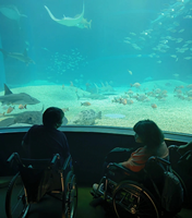 3階デイ遠足~海遊館~-8